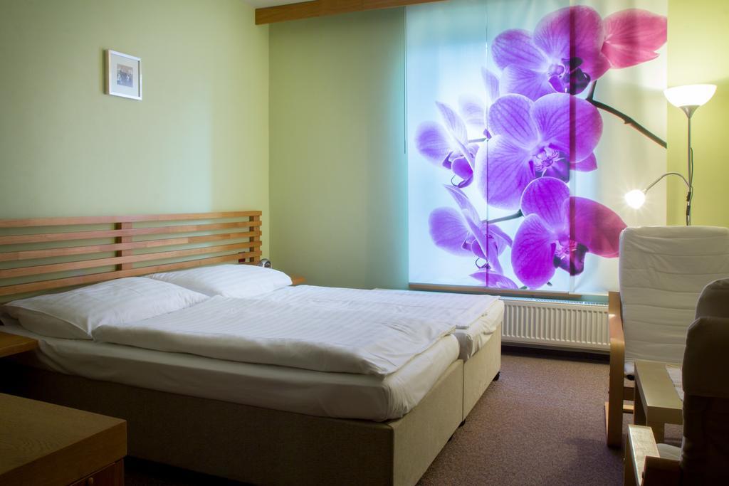 Penzion U Zamecke Zahrady Lipník nad Bečou Buitenkant foto